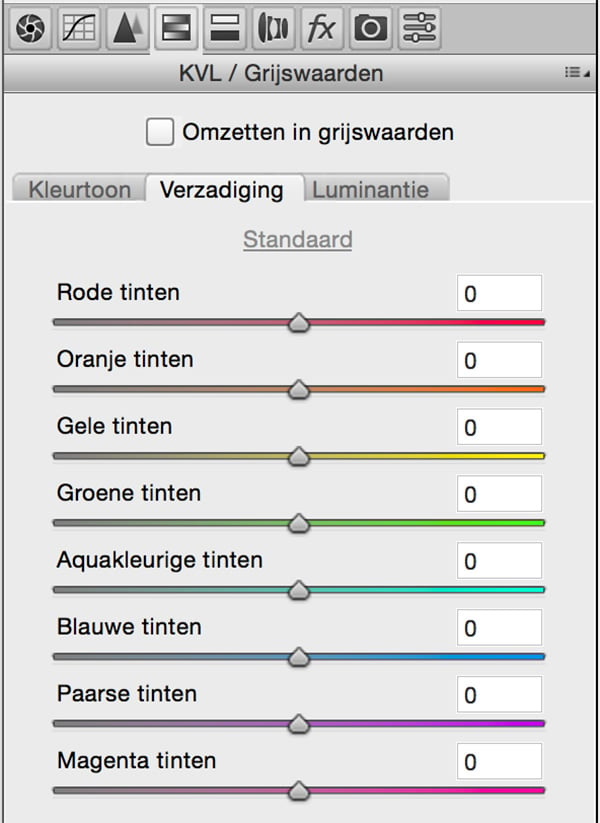 Verzadiging aanpassen in Camera RAW