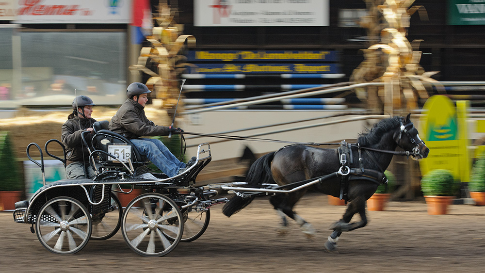 Foto van Kees Gravendeel met Nikon 70-200mm