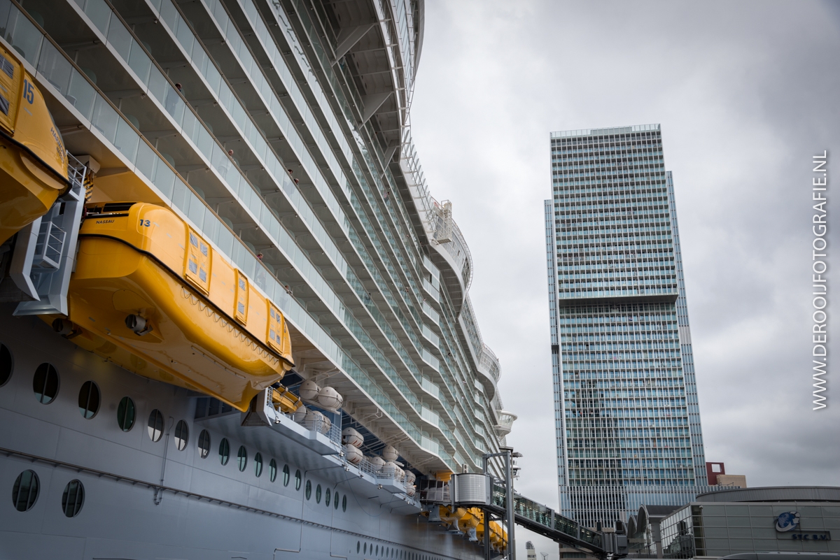 Harmony of the Seas-De-Rotterdam-Kop-van-Zuid