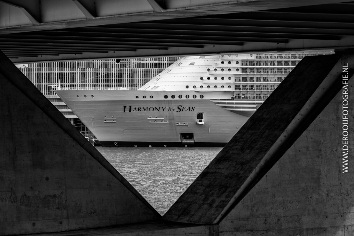 Harmony of the Seas-Erasmusbrug-Rotterdam