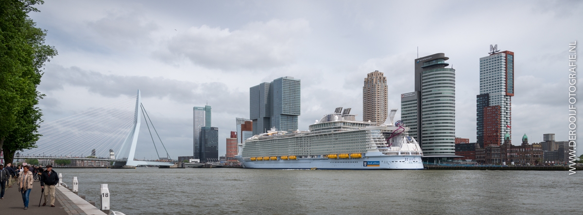 Harmony of the Seas-Skyline-Rotterdam