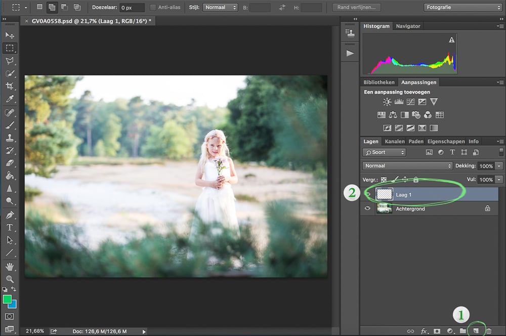 Basis Uitleg Adobe Photoshop - Maskers en Lagen