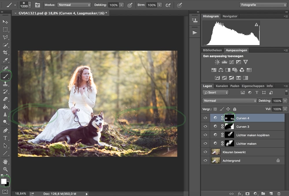 Adobe Photoshop Cursus