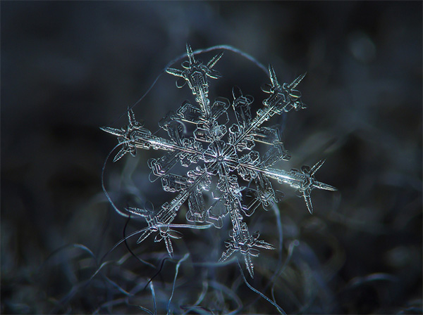 Sneeuwvlok Fotograferen