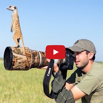 Dierenfotografie met Burrard Lucas