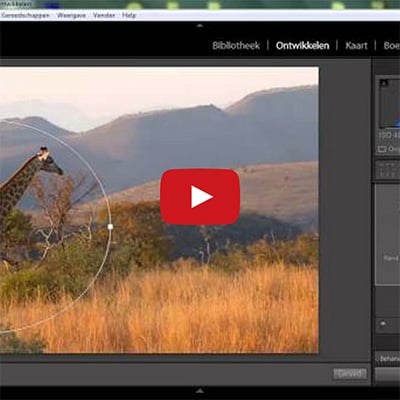 Safari Fotografie - Fotobeoordeling