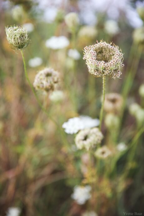 Let op de kleine details