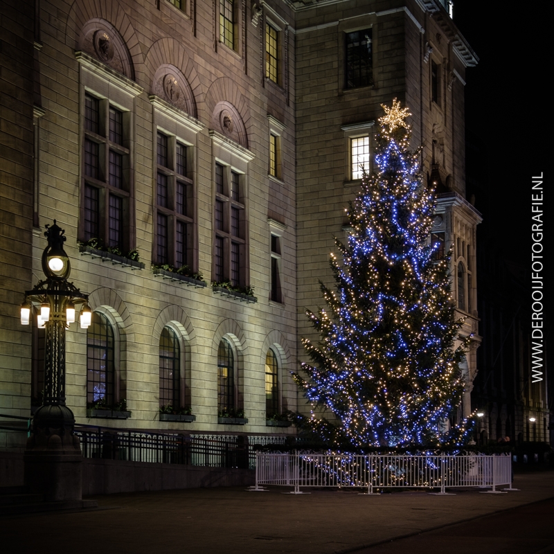 Kerstboom Stadhuis Rotterdam