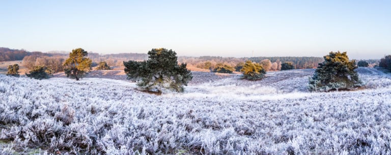 Voordelen van statief bij het samenvoegen van meerdere foto's tot een panorama 