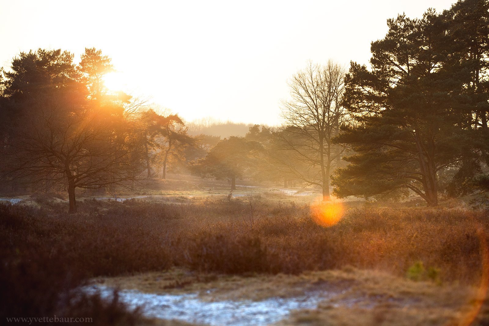 Voordelen van een statief bij landschappen