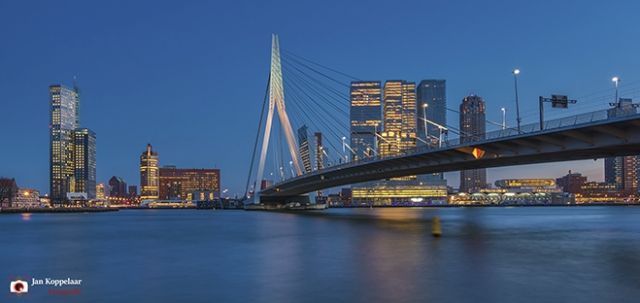 Erasmusbrug Rotterdam