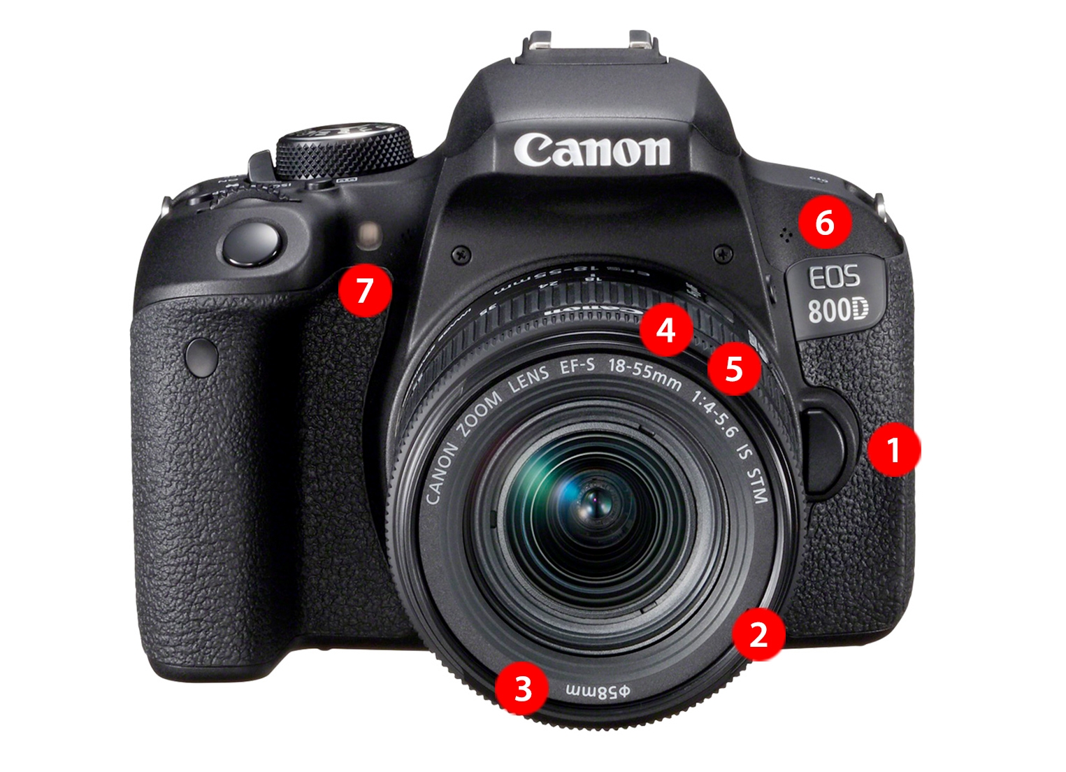 Uitleg & Tips voor de Canon EOS 800D - De Rooij Fotografie
