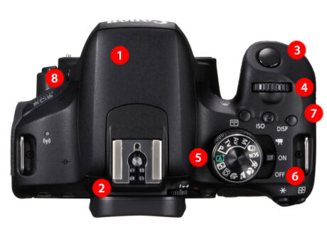 Canon EOS 800D Tips Top