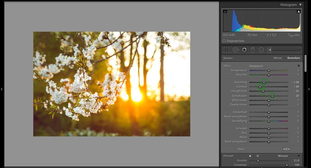 17-bloesem-in-lightroom