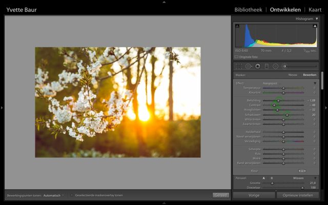17-bloesem-in-lightroom