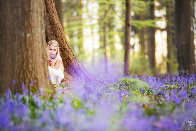 fotograferen in de lente hallerbos