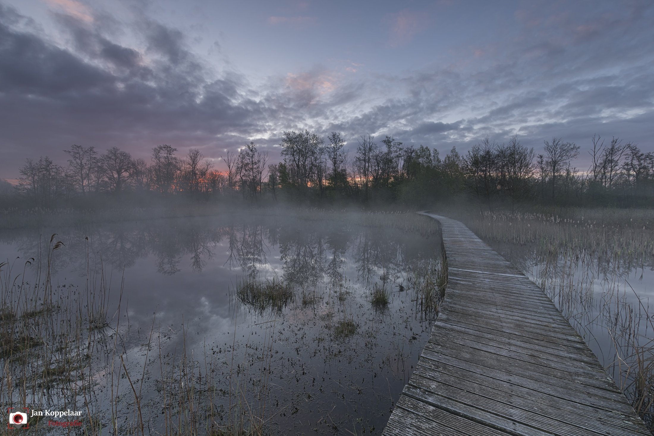 Alles voor de foto jan koppelaar fotografie