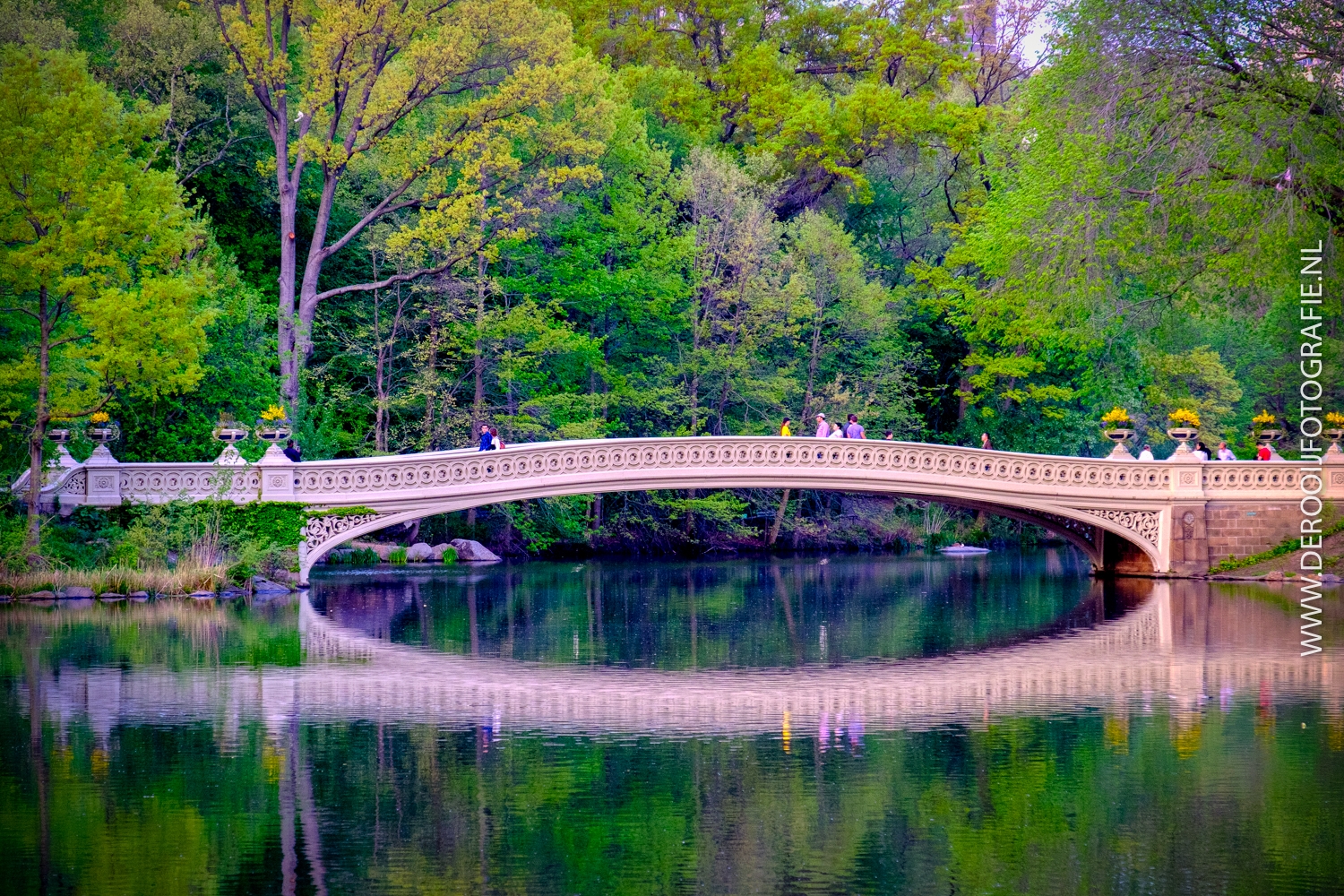 Mooiste foto's New York - Kleuren in Central Park