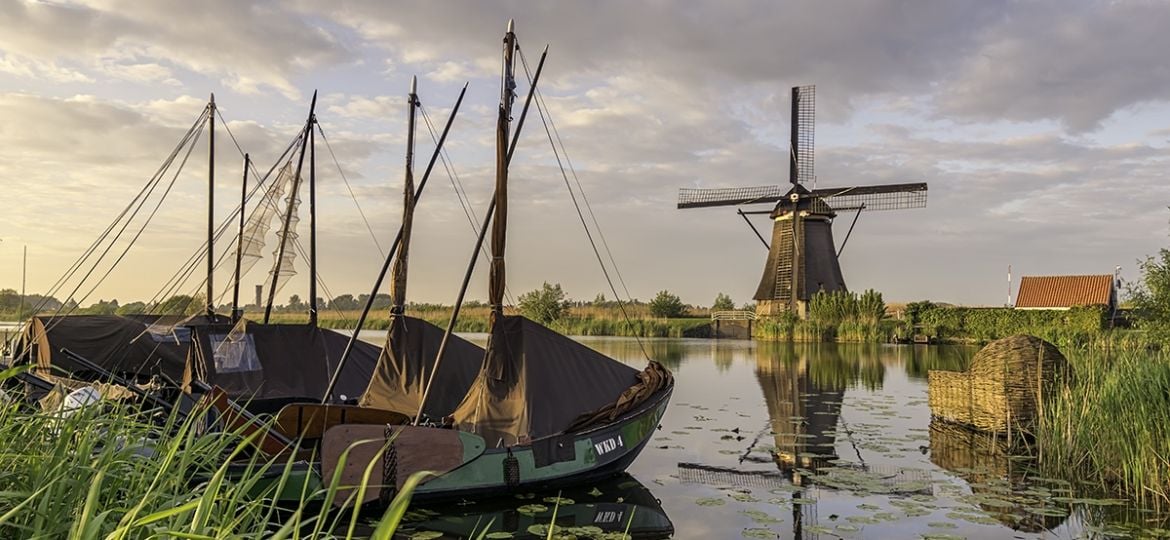 Zalmschouwen in Kinderdijk