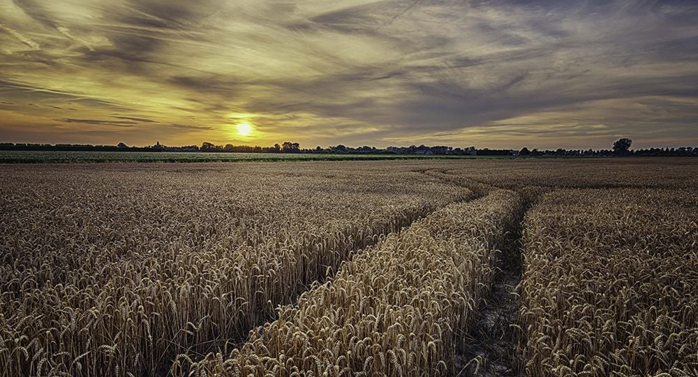 Zonsondergang in Zeeland Fotograferen - Quirien Marijs