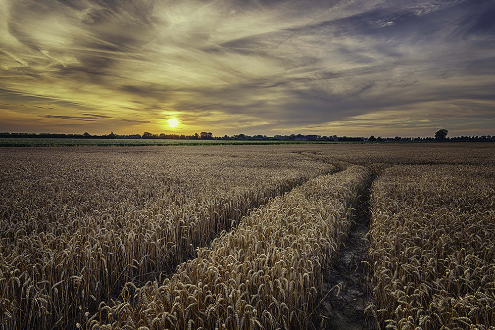 Zonsondergang in Zeeland Fotograferen - Quirien Marijs