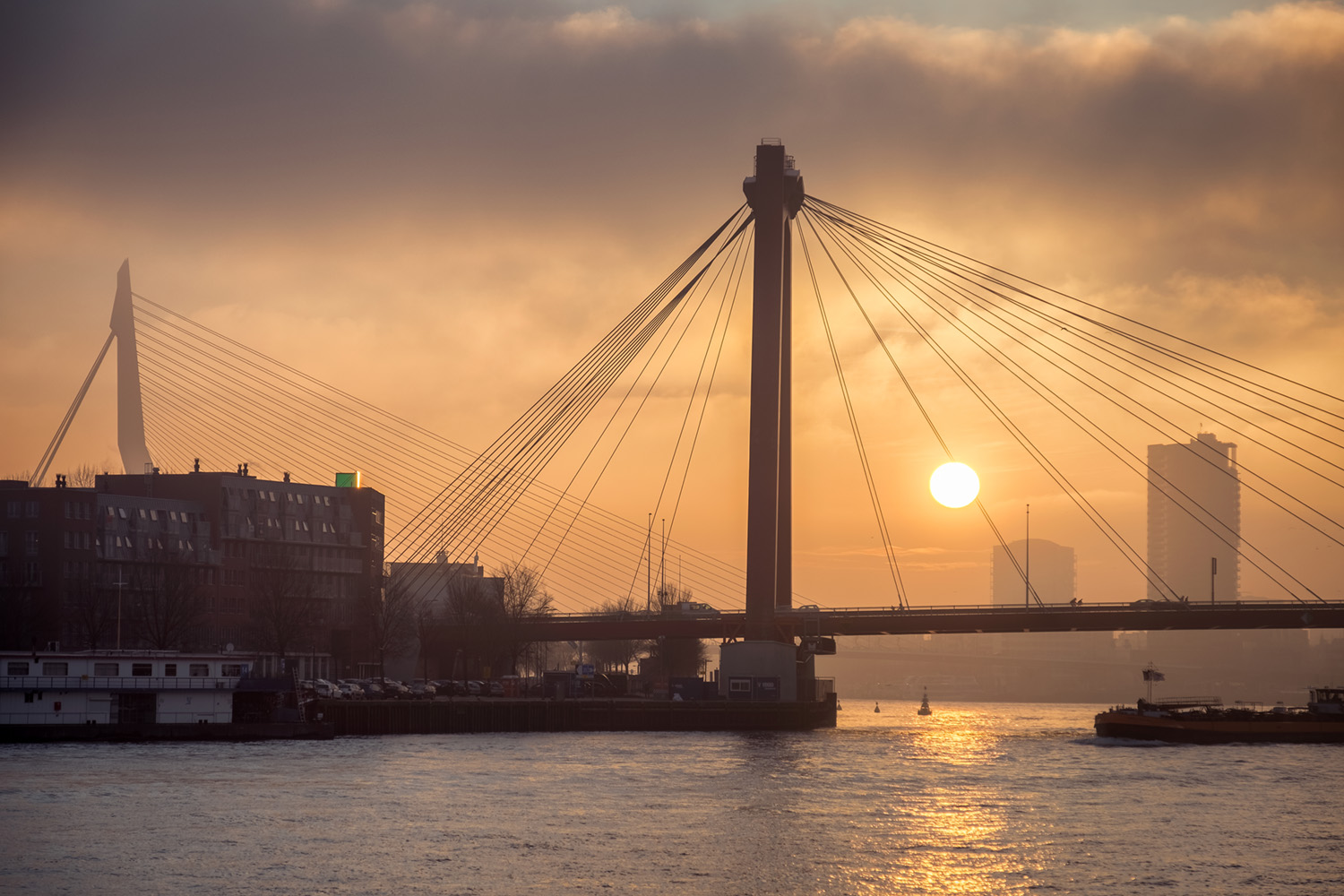 Mooiste foto van Rotterdam bestellen