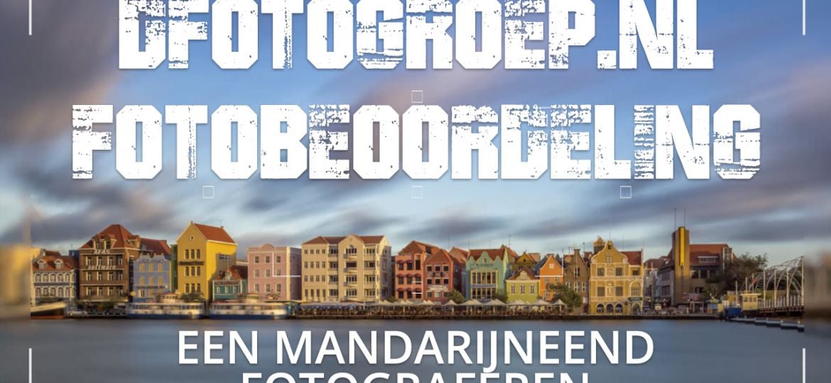 Dfotogroep.nl beoordeling 002, dierenfotografie, dieren fotograferen