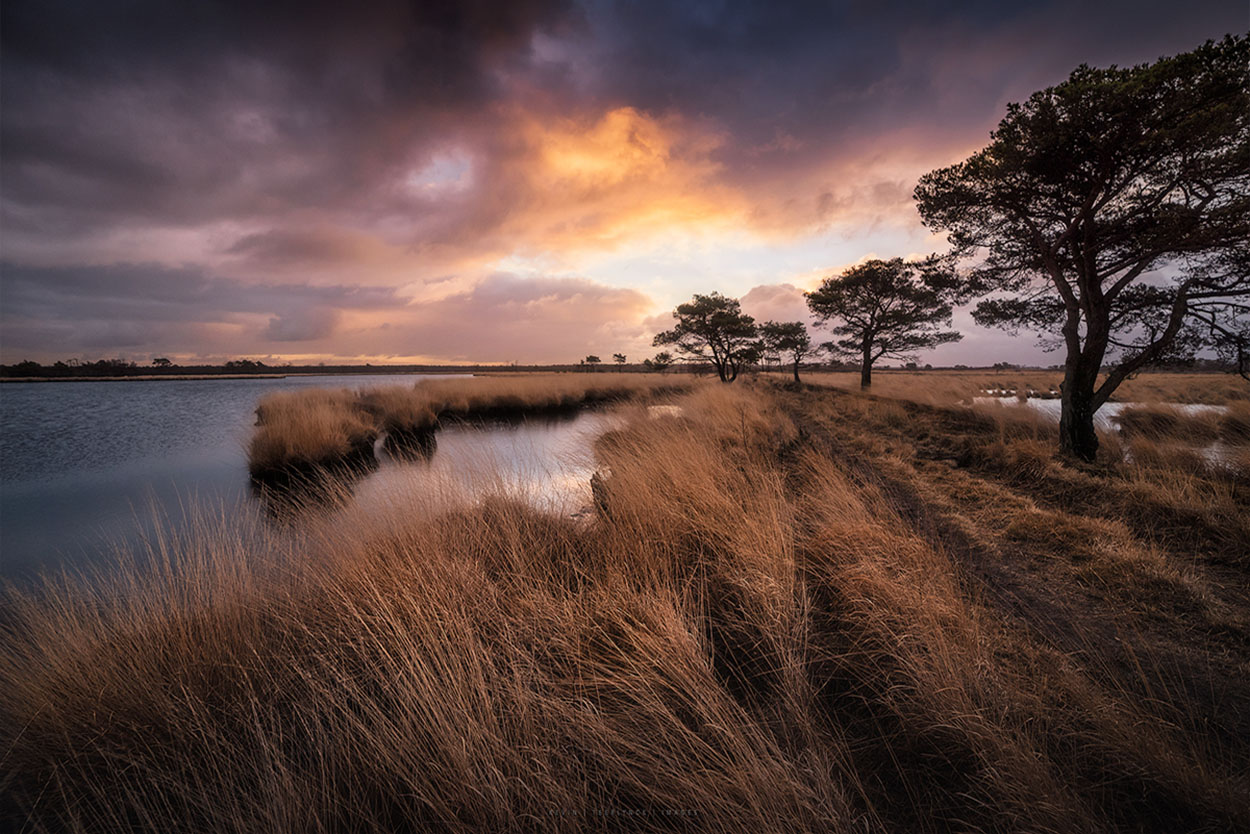 Cursus Landschapsfotografie in België
