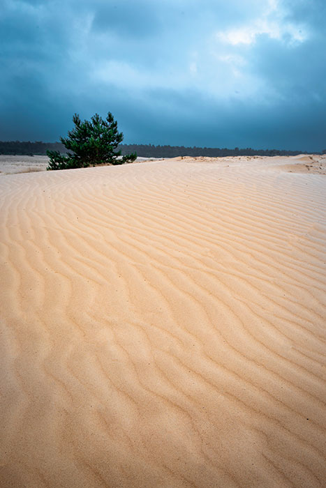 Cursus landschapsfotografie op de Veluwe - Michael Kamp
