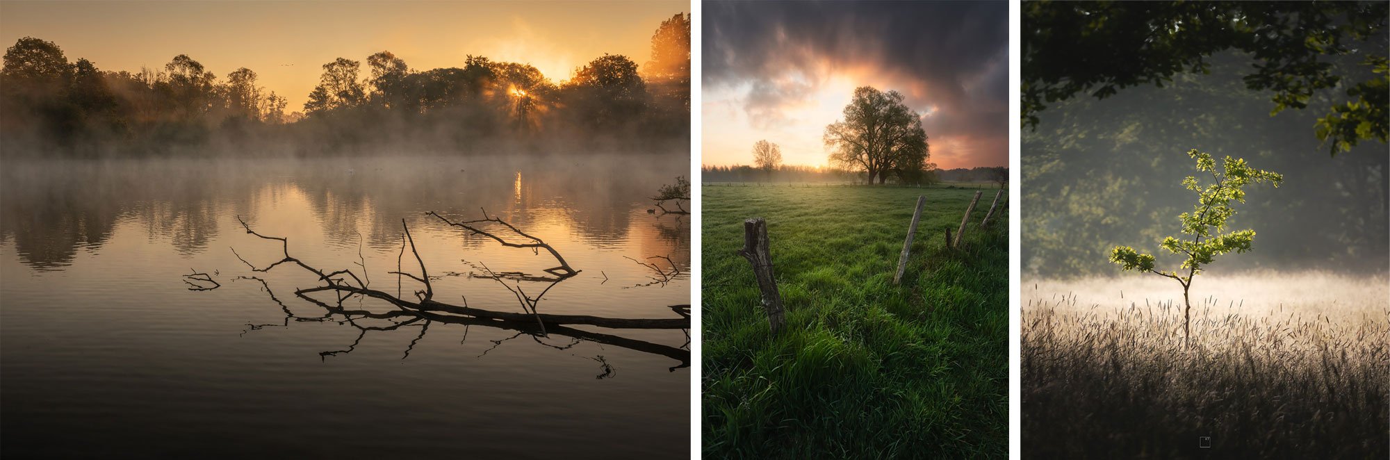 Workshop landschapsfotografie in de Doode Bemde (Dijlevallei) - Kevin Teerlynck