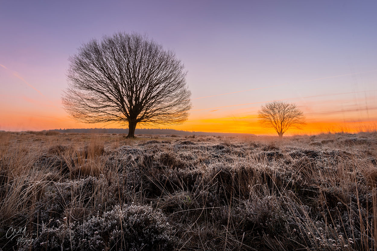 Cursus landschapsfotografie in Drenthe