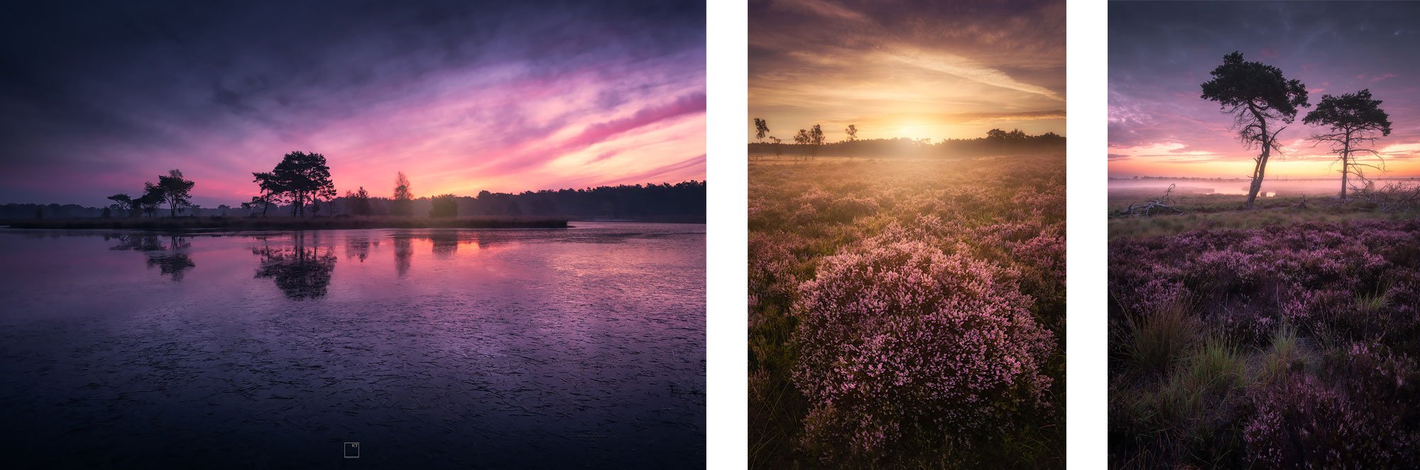 Workshop landschapsfotografie op de Klamthoutse Heide - Kevin Teerlynck