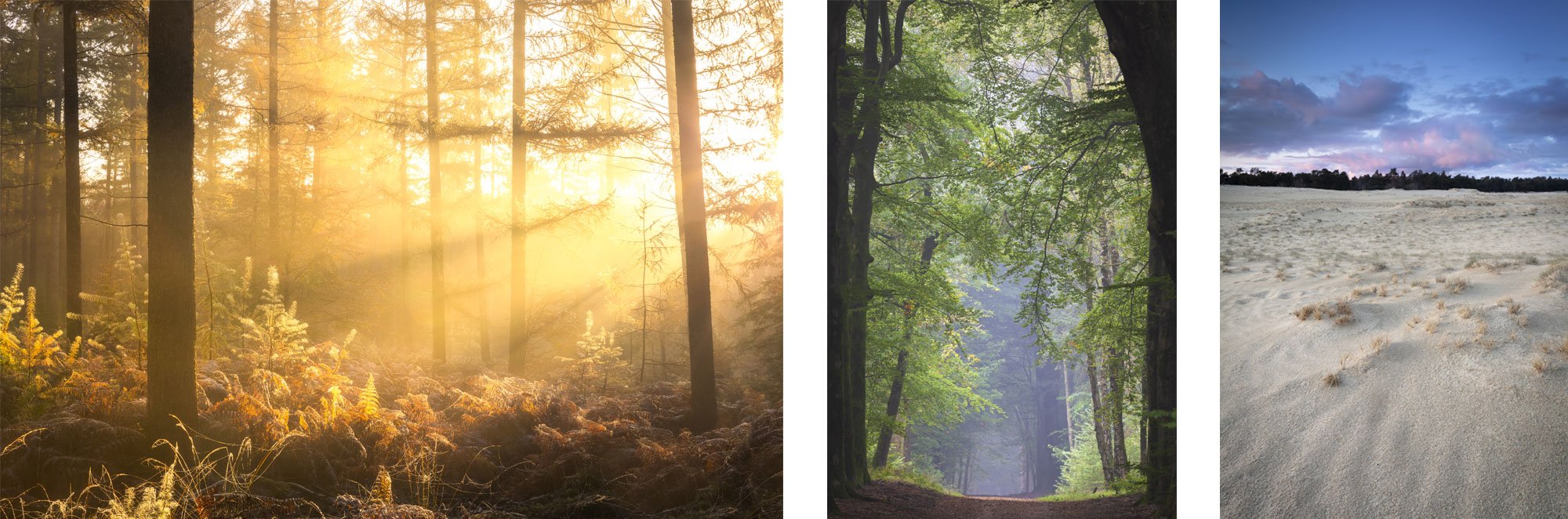 Workshop landschapsfotografie op de Veluwe - Michael Kamp