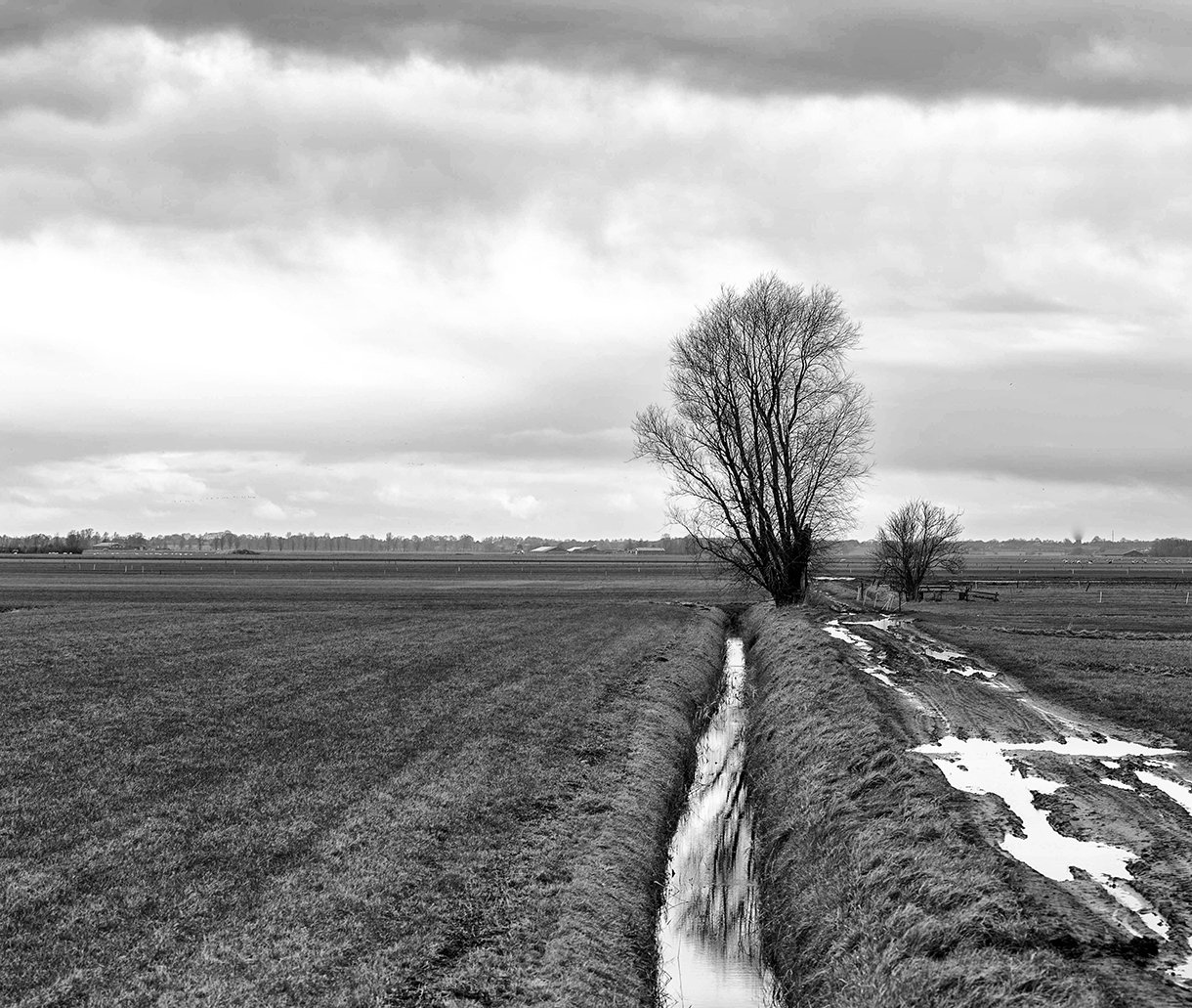 Landschap 1 bewerkt