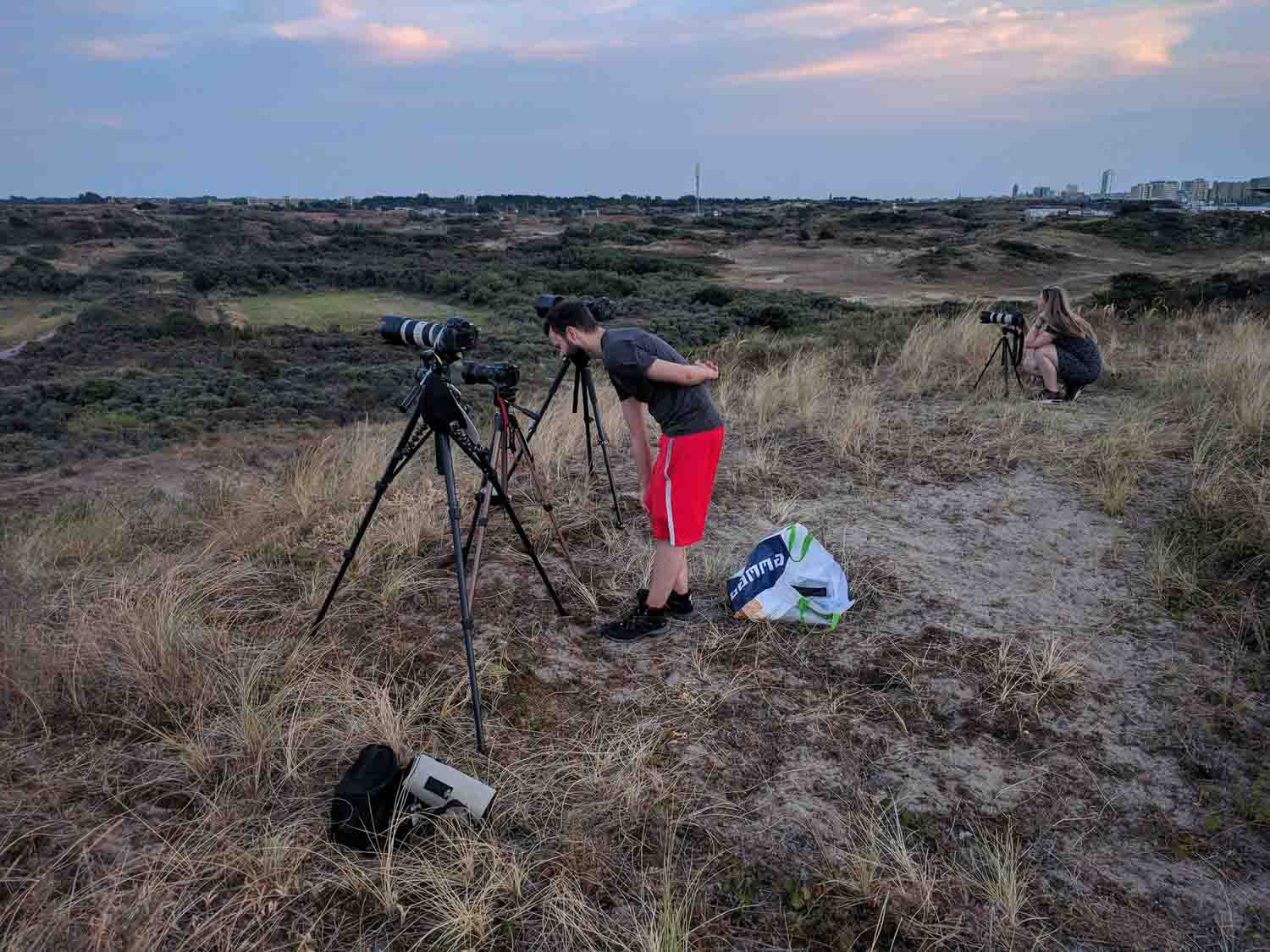 Maansverduistering