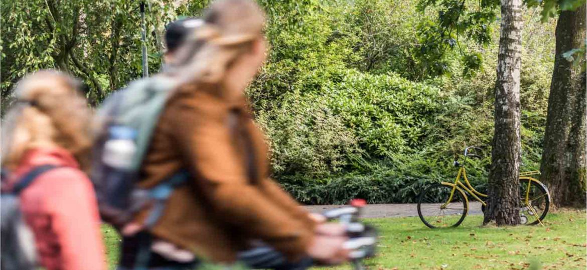 Beweging toevoegen in een foto