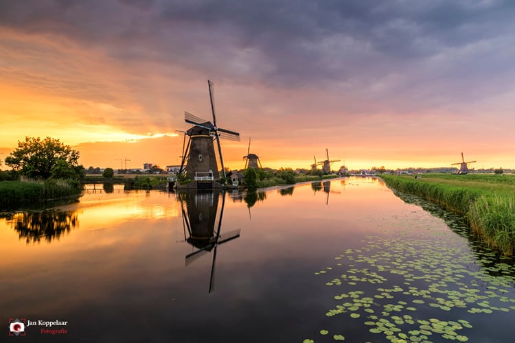 jan koppelaar fotografie kinderdijk