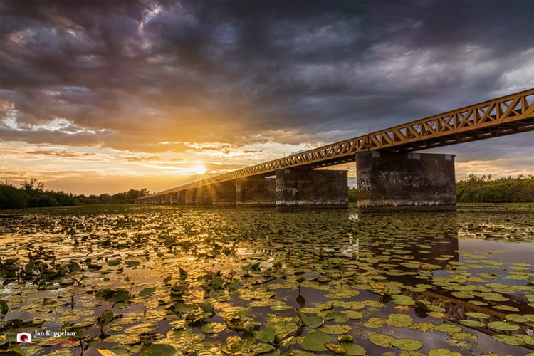 jan koppelaar fotografie moerputten