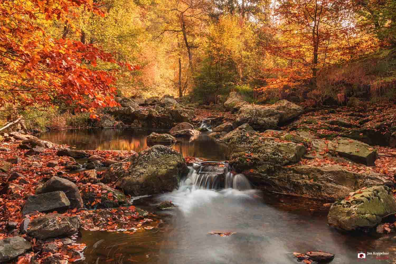 Belgische Ardennen