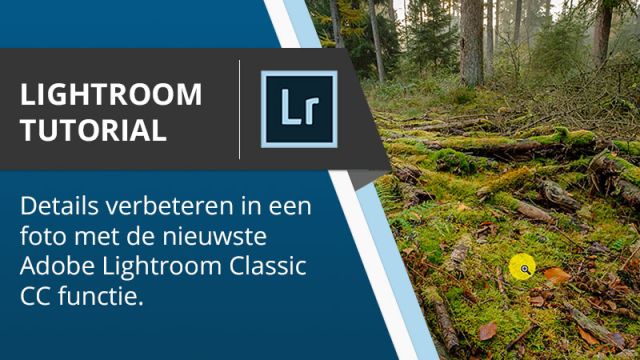 Lightroom Tutorial - Details verbeteren in een foto met de nieuwste Adobe Lightroom functie