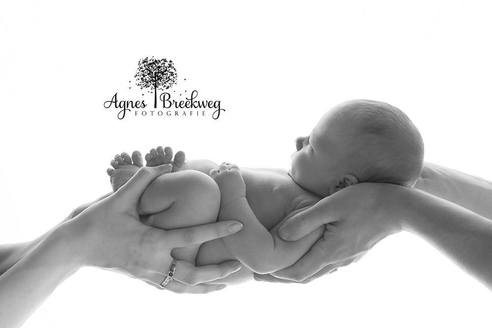 Newborn Fotografie - Interview Agnes Breekweg