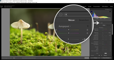 Cursus Adobe Lightroom - Ontwikkelen - Aanpassingspenseel