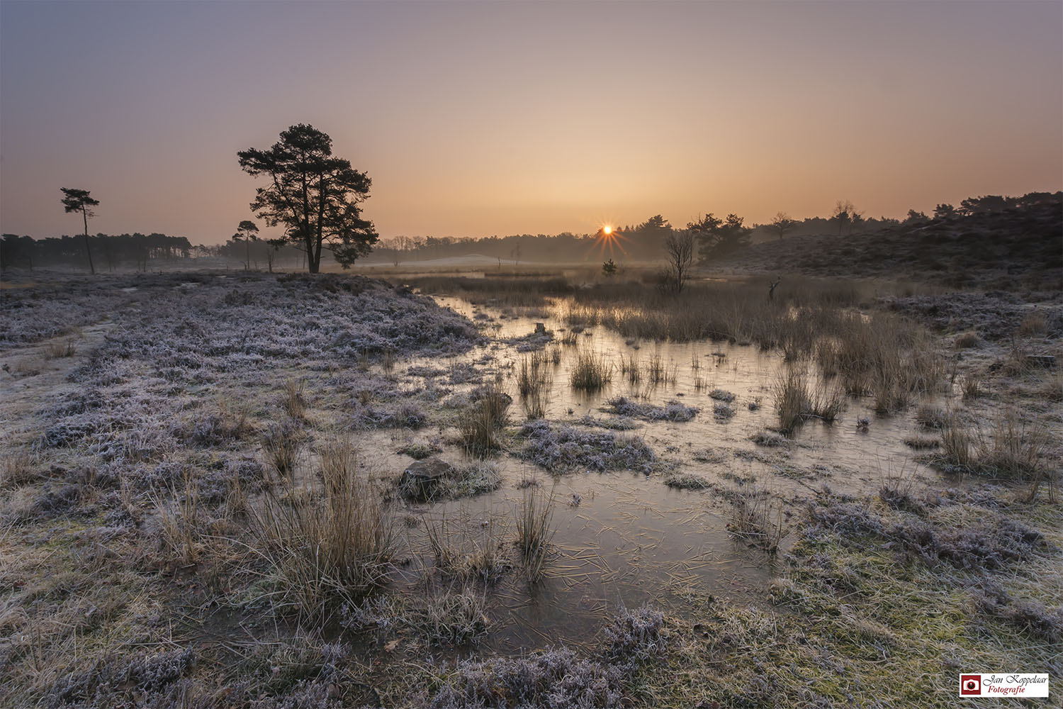 Overasseltse en Hatertse Vennen﻿ mooiste locatie voor landschapfotografie