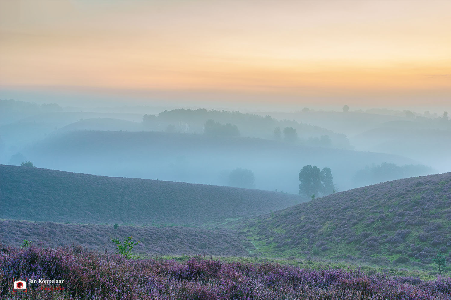 Posbank mooiste locatie voor landschapfotografie