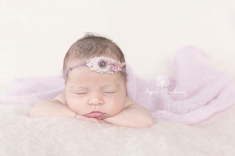 Beste cursus Newbornfotografie Nederland