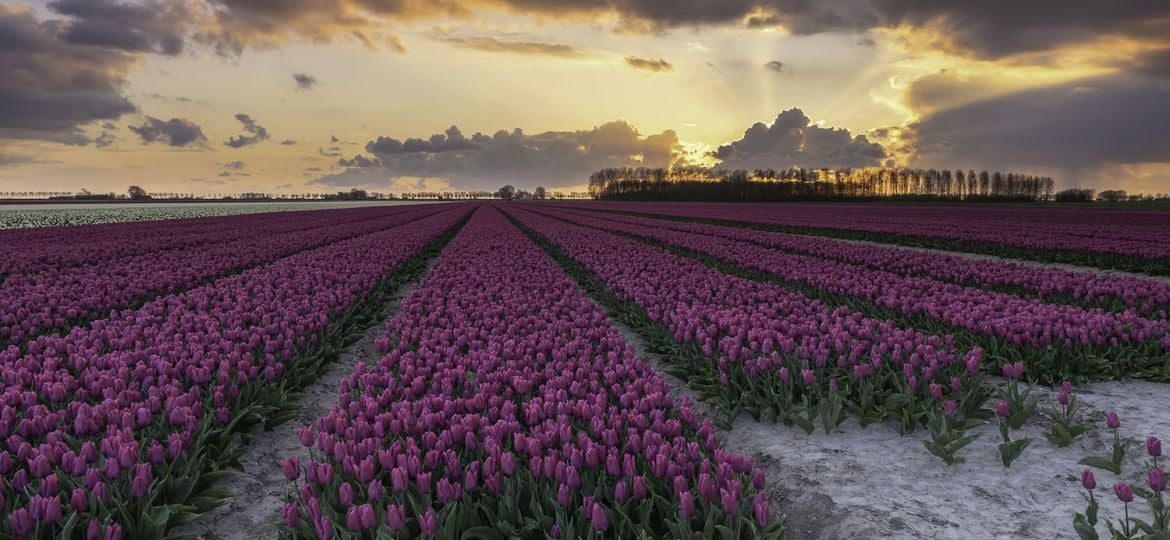 veel gemaakte fouten bij landschapfotografie