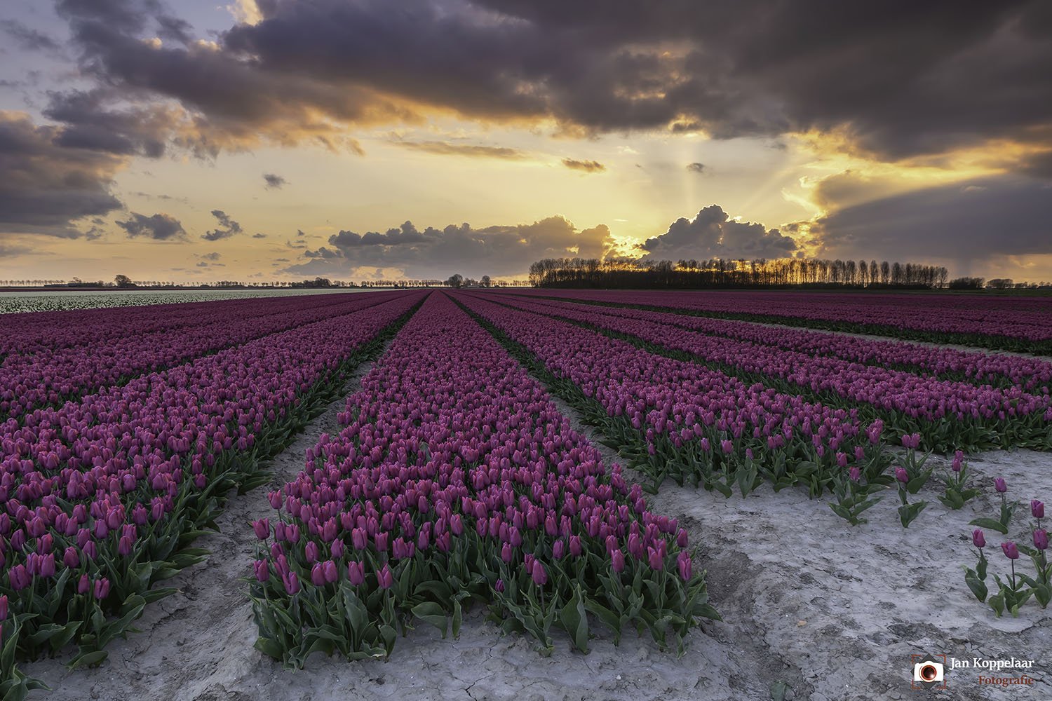 veel gemaakte fouten bij landschapfotografie