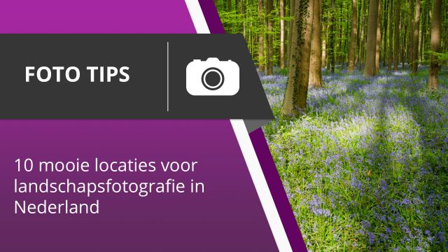 10 mooie locaties voor landschapsfotografie in Nederland