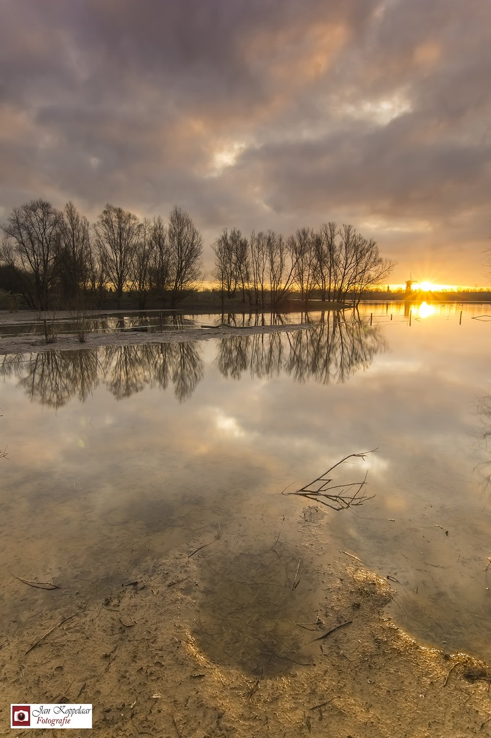 Haaften mooiste locatie voor landschapfotografie