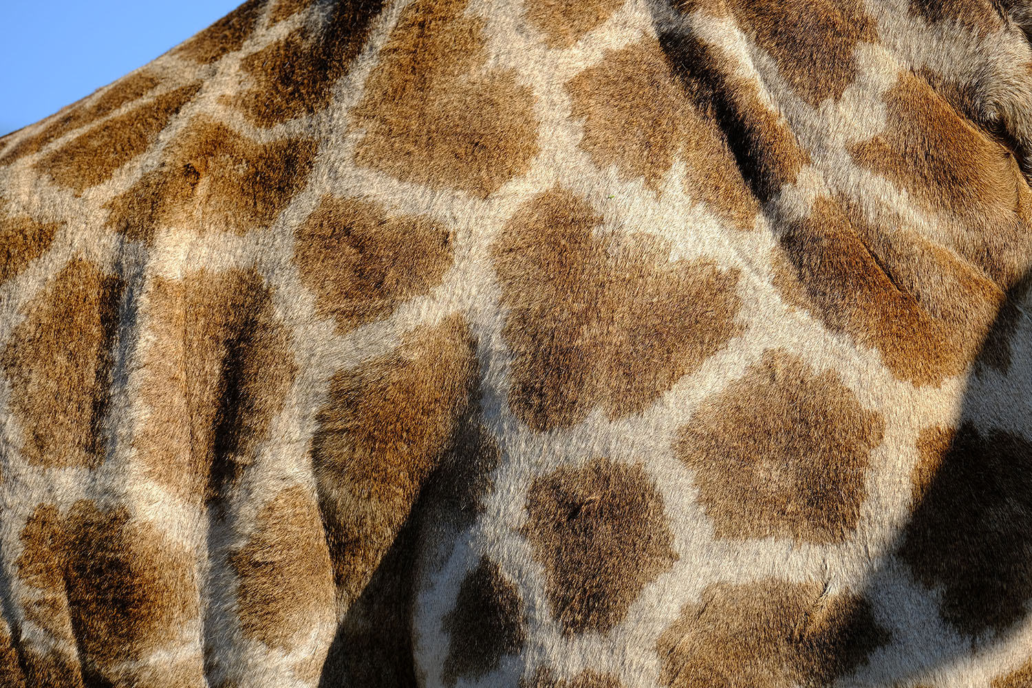 Beste fotoreis Zuid-Afrika - De Rooij Fotografie met Donald Ikkersheim